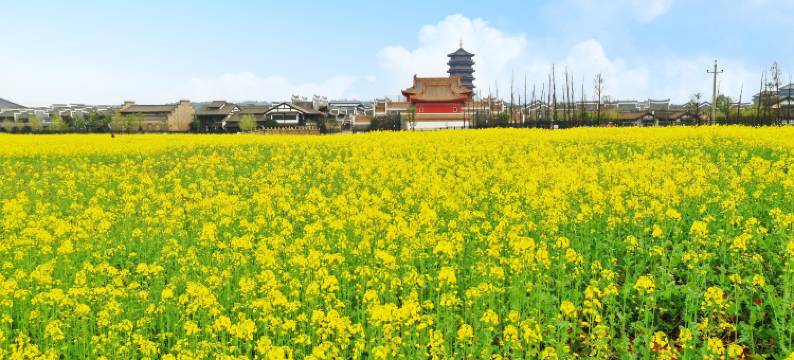 长沙陶源居民宿(铜官窑古镇店)图片