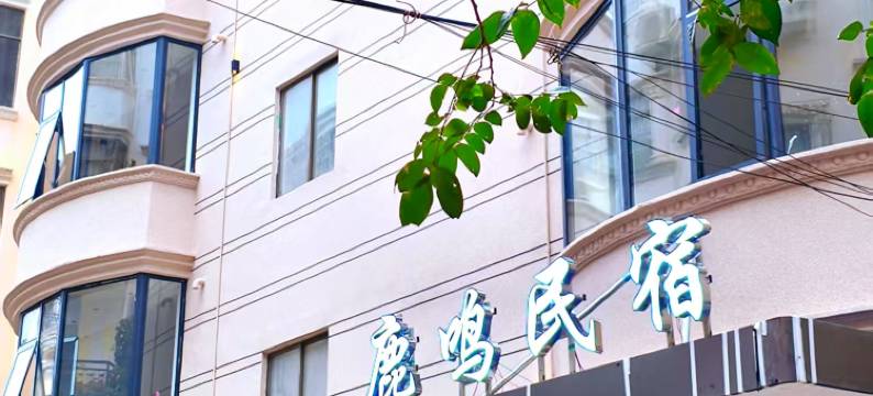 防城港鹿鸣民宿(桃花湾广场店)图片