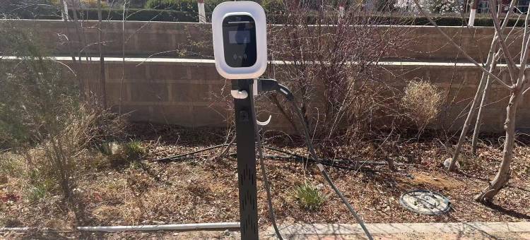 阿拉善左旗朗威大酒店(阿拉善盟博物馆体育馆店)图片