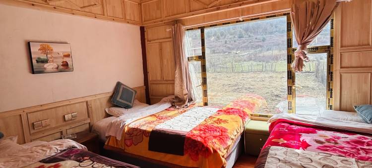 花海星光民宿图片