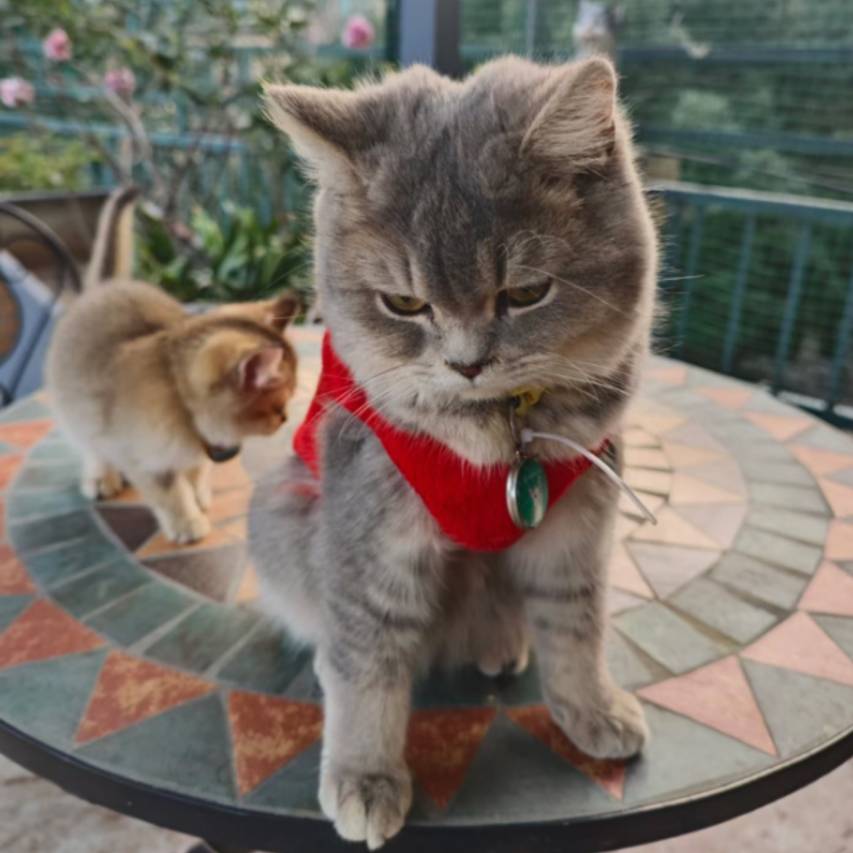 涧溪兰庭·Life轻奢设计美宿(宜兴窑湖小镇店)图片