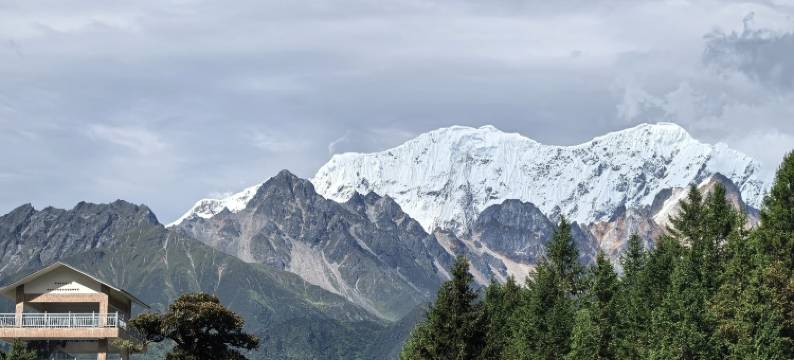 林芝·鲁朗丨Natural oxygen bar财鹿庄园(鲁朗国际旅游小镇店)图片