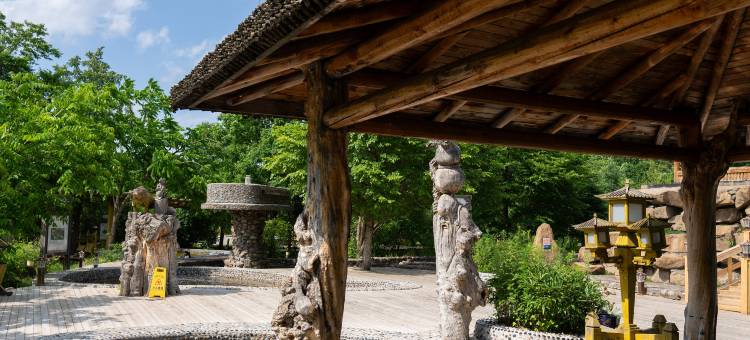 宝宇龙花温泉酒店图片