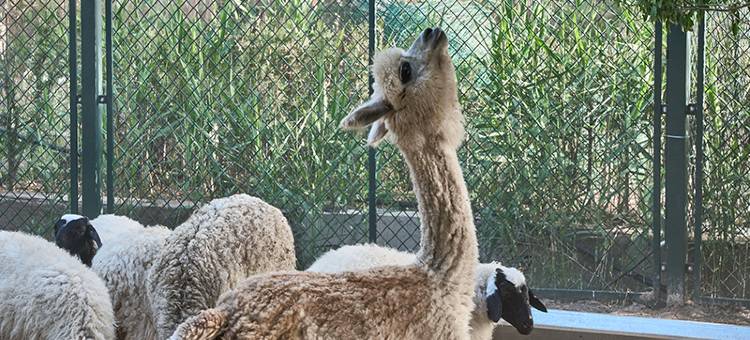 云边小筑民宿图片