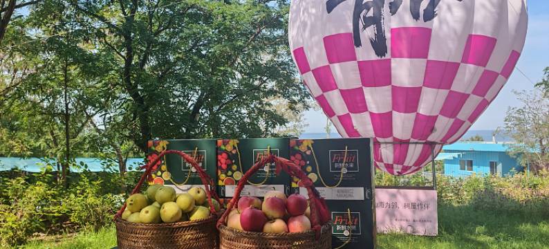 青谷度假酒店图片