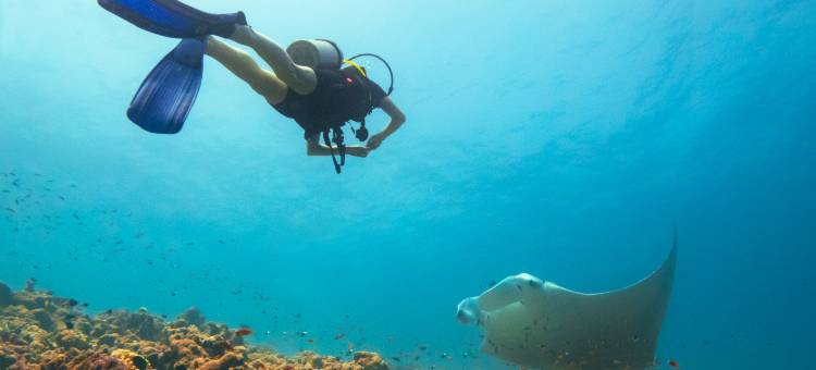 马尔代夫神仙珊瑚岛(Hideaway Beach Resort & Spa)图片
