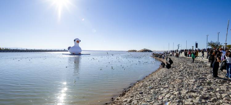 艺龙安云酒店(乌海高铁站滨河店)图片