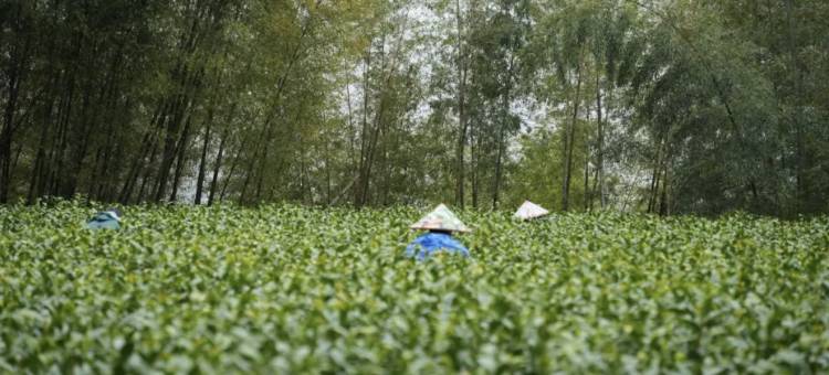 松阳九舍民宿图片