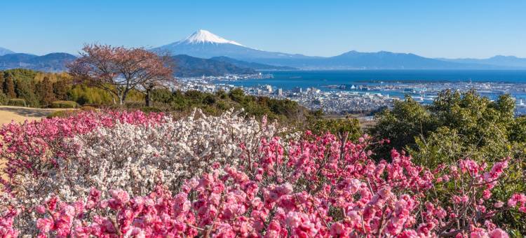烧津龟之井酒店(Kamenoi Hotel Yaizu)图片