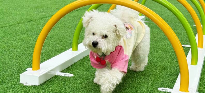 沈阳新世界酒店图片