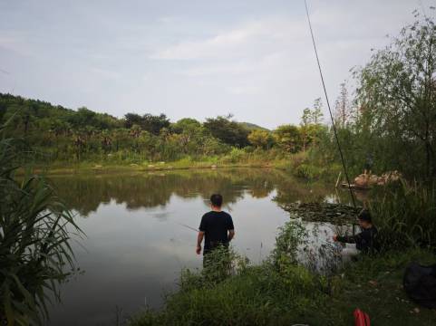 庐江冶父山居度假庄园图片