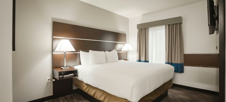 DFW机场中庭套房酒店(Atrium Hotel and Suites DFW Airport)图片
