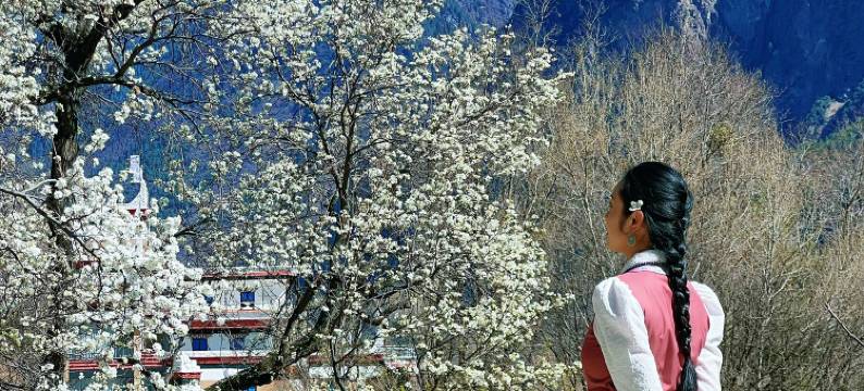 丹巴雅稞云舍图片