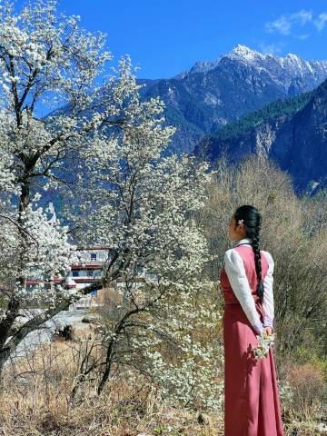 丹巴雅稞云舍图片