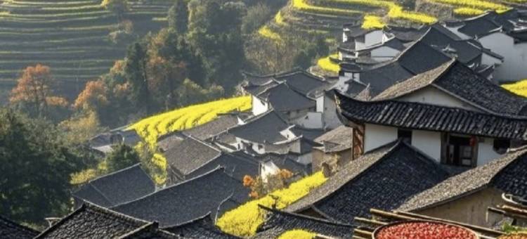 喜山一宿·270°观景晒秋设计美宿(婺源篁岭风景区店)图片