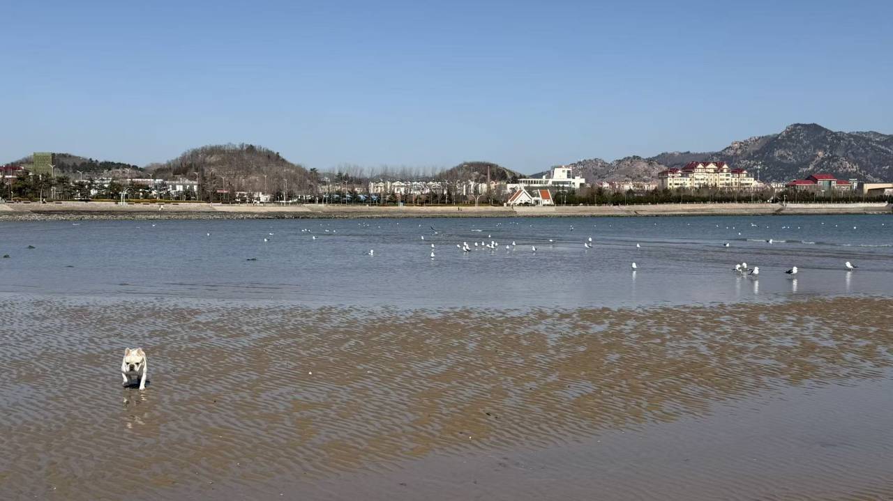 云筑·沙香海酒店(青岛石老人海水浴场店)图片