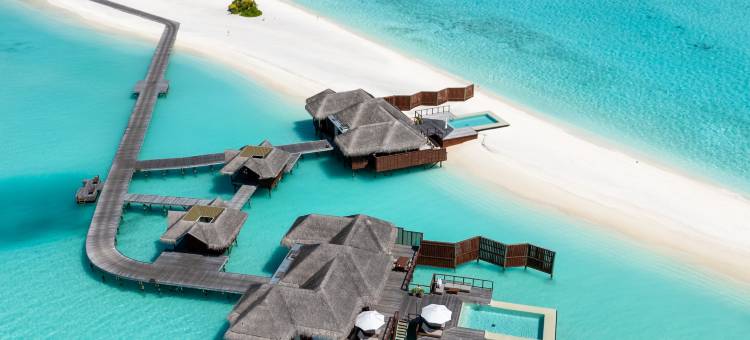 马尔代夫伦格里岛康莱德酒店(Conrad Maldives Rangali Island)图片