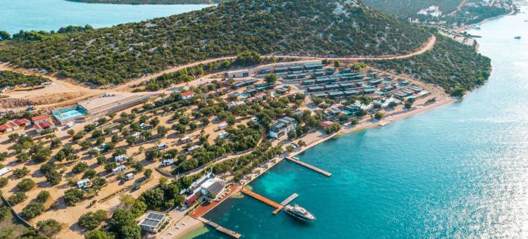 橄榄绿露营酒店(Olivia Green Camping)图片