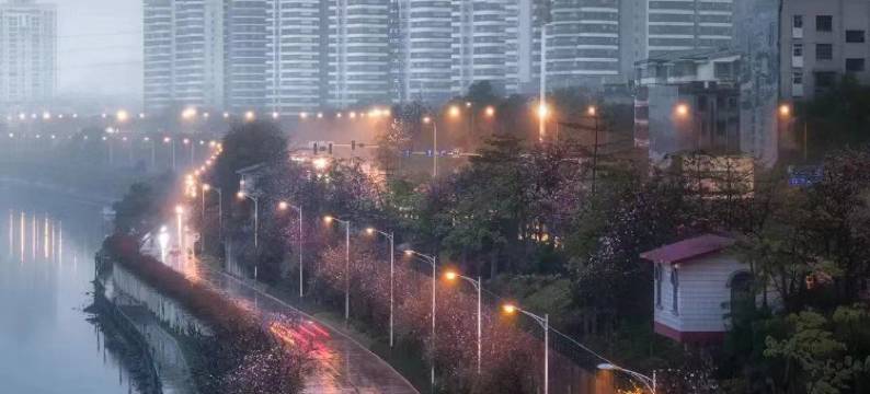 柳州美拓·臻丽酒店(东堤码头窑埠古镇店)图片