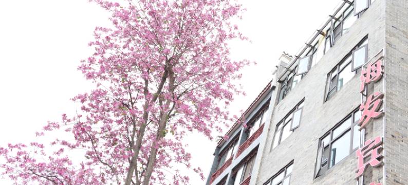 成都海发宾馆(洛带古镇店)图片