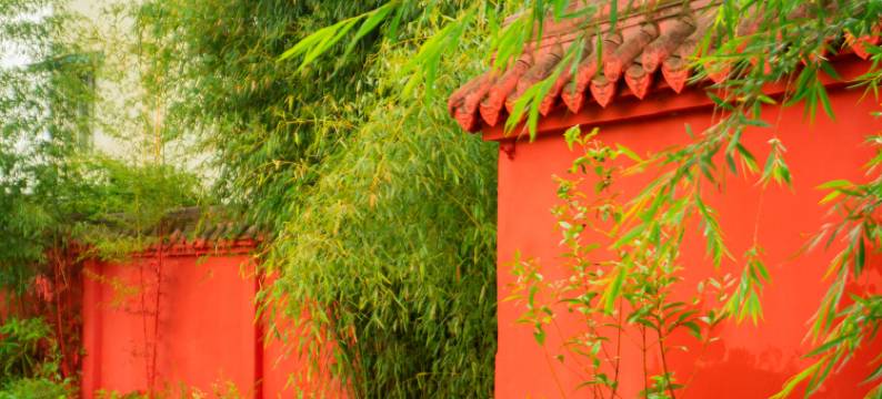 丹景·牡丹小院图片