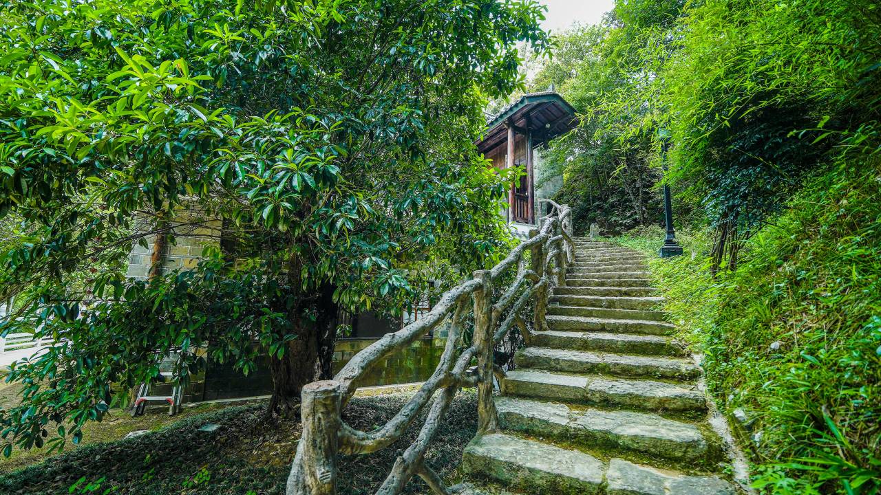 武夷山市天心明月民宿(莲花峰景区店)图片
