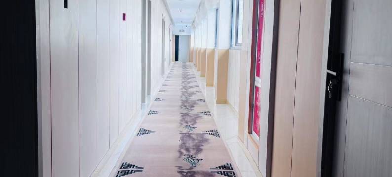 林芝唐朝酒店(市中心店)图片