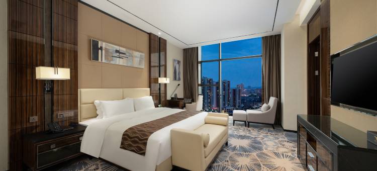 御景国际大酒店(茂名电白万达广场店)图片