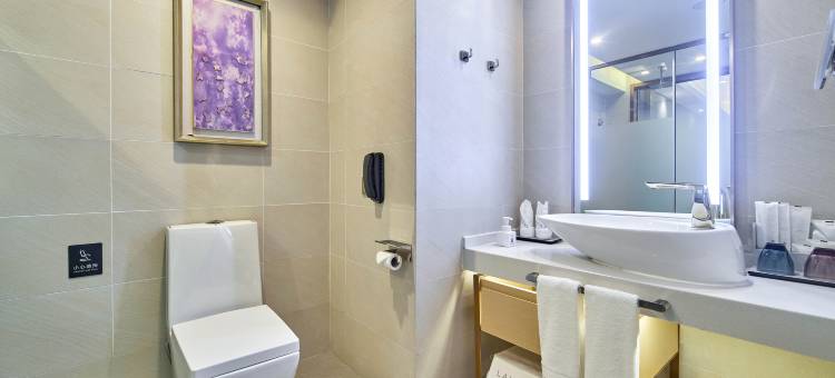 麗枫酒店(商丘高铁站正弘汇店)图片