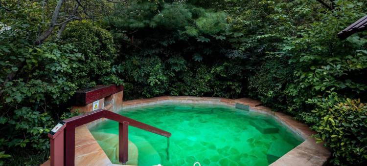 西安临潼悦椿温泉酒店图片