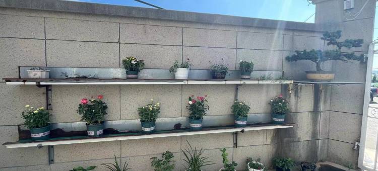 象山海宿(中国渔村皇城沙滩店)图片