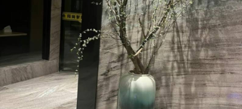 鑫世佳酒店(崖州湾高铁站店)图片