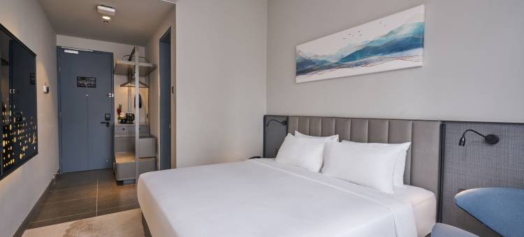 莱恩酒店(Sleeping Lion Suites)图片