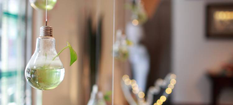 花莲天玺商务饭店图片