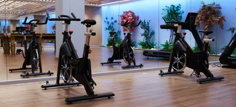 博雅丽景酒店(巴音布鲁克店)图片