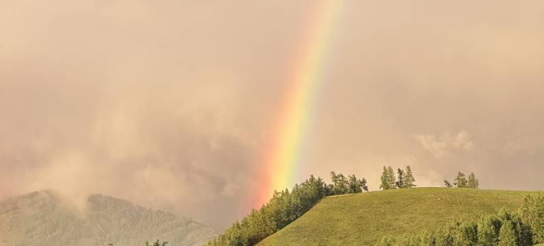 白哈巴存欢民宿图片