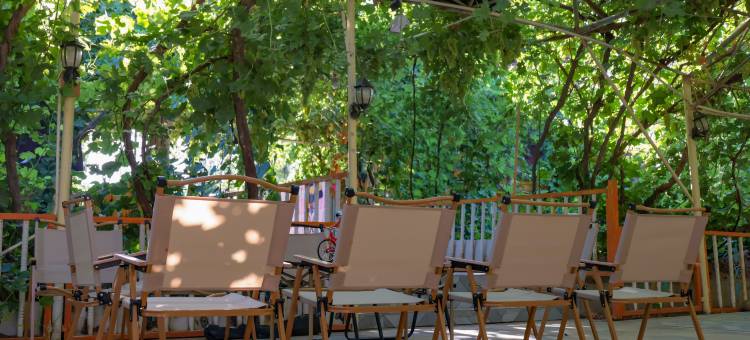 溪畔民宿(吐鲁番葡萄沟风景区青蛙巷店)图片