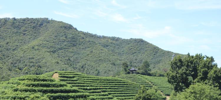 金华双龙风景区鹿你所院民宿图片