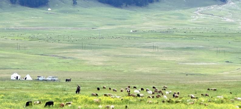 白哈巴存欢民宿图片