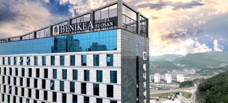 Benikea赛山酒店(Benikea Hotel Seosan)图片