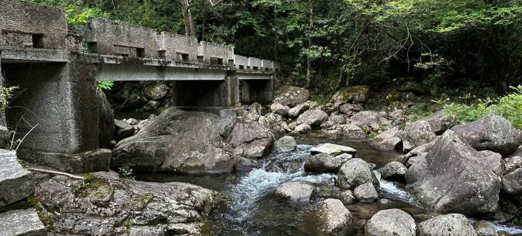 桐庐|山野四季|旅行秘境|环山溯溪设计师度假villas美宿图片
