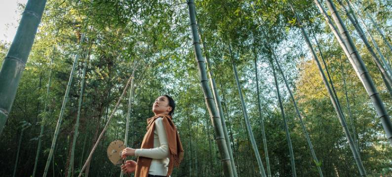 安吉·悠享·亲子泳池度假民宿(中南百草原店)图片