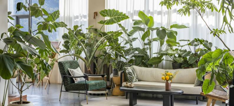 芒市日光山舍民宿图片