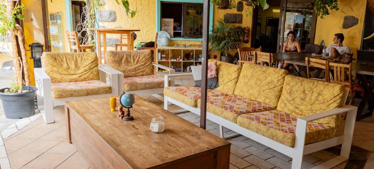 洛斯阿米戈斯巢旅舍(Los Amigos Nest Hostel)图片