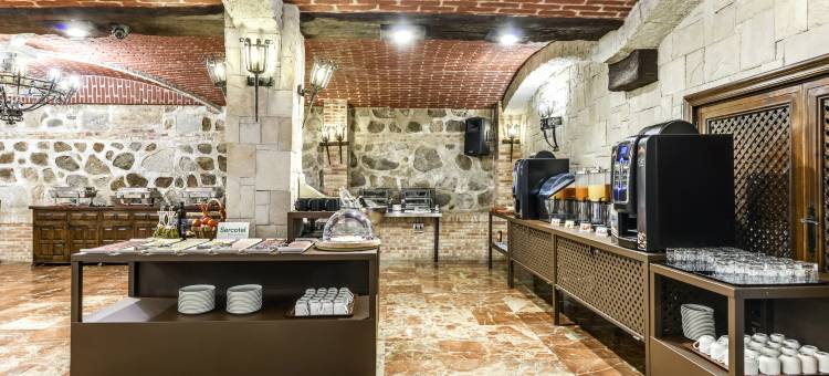 赛尔科特尔阿方索六世酒店(Sercotel Alfonso VI)图片