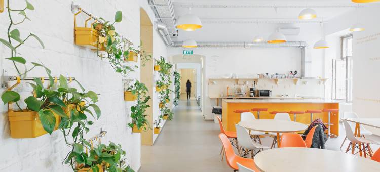 弗洛青年旅馆(Flow Spaces)图片