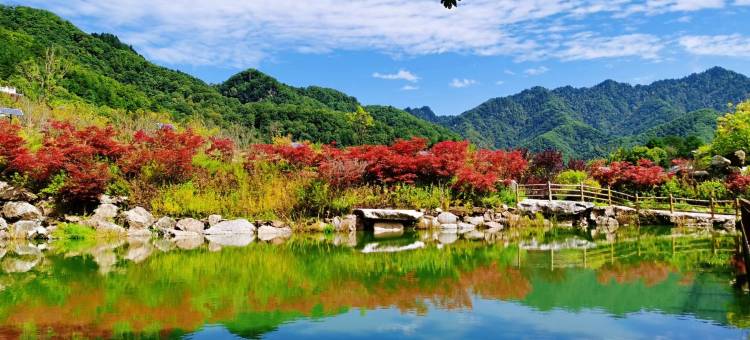 愚林小舍图片