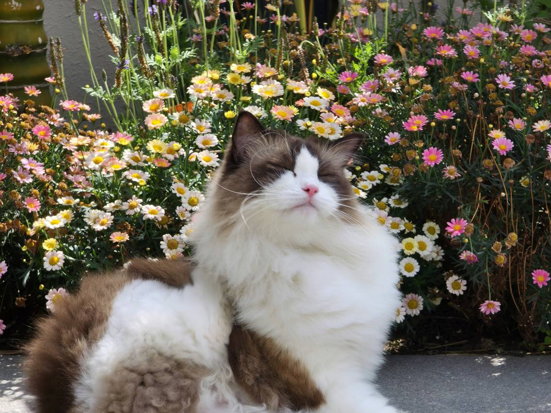 山泮拾光美学庭院(大理古城店)图片