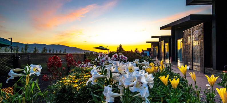 那拉提乌孙杉云居图片