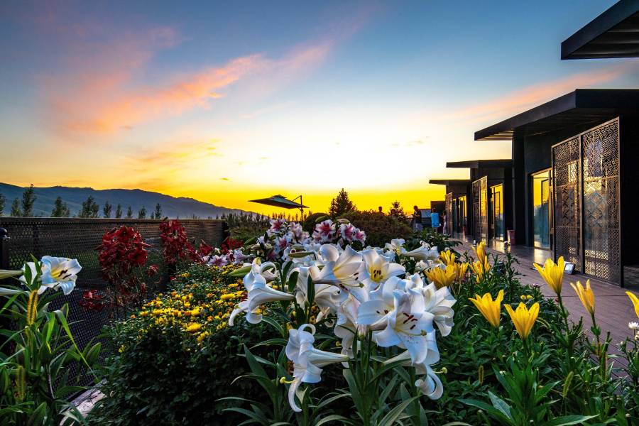烏孫杉雲居·Wild hills全景草原森林度假民宿(那拉提景區店)